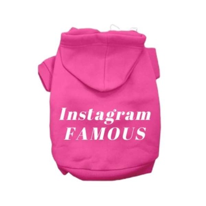 Pink - IG Famous Hoodie - 2X Large