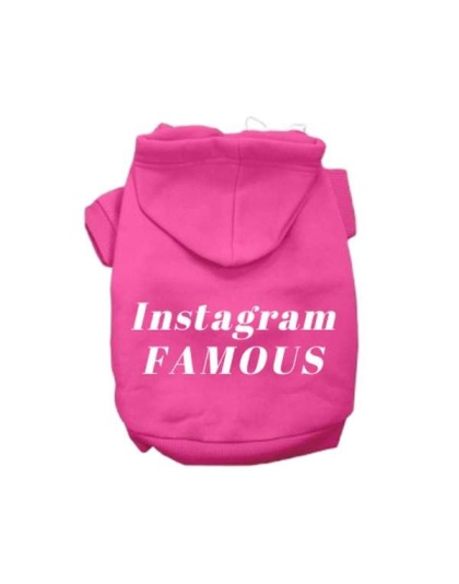 Pink - IG Famous Hoodie - 2X Large