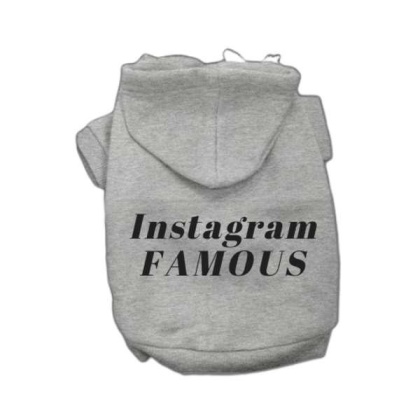 Grey - IG Famous Hoodie - 2X Large