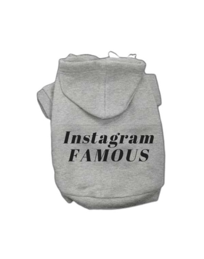 Grey - IG Famous Hoodie - 2X Large