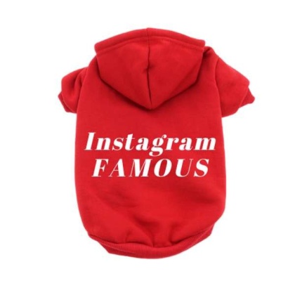 Red - IG Famous Hoodie - 2X Large