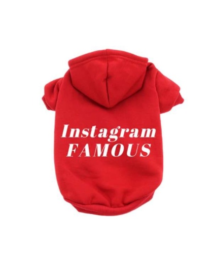 Red - IG Famous Hoodie - 2X Large