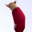 WINE RED - Knit Turtleneck Dog Sweater - Small