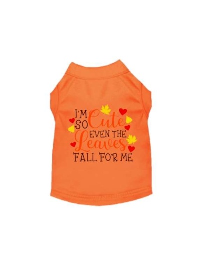 ORANGE - Leaves Fall For Me - Medium