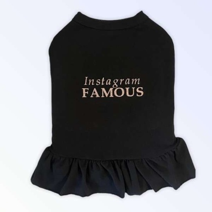 IG Famous Dress - 2X Large