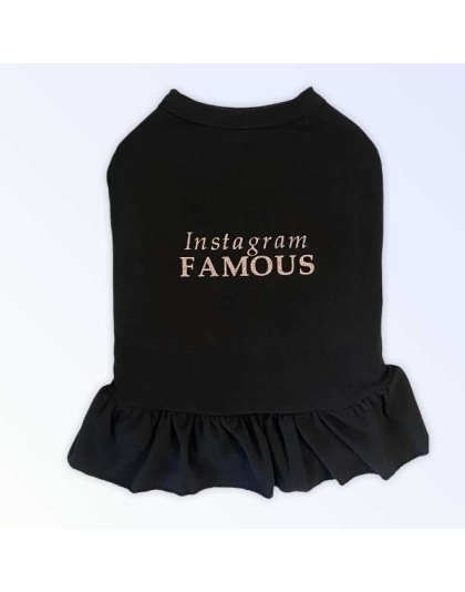 IG Famous Dress - 2X Large