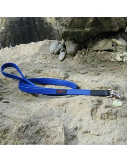 Blue - Boss Regular Leash - 3/4" x 6'