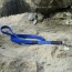 Blue - Boss Regular Leash - 3/4" x 6'