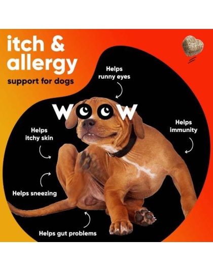 Dr Woow Allergy and Immunity Soft Chews