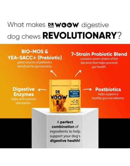 Dr Woow Digestion Soft Chews