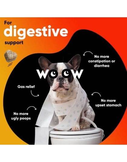 Dr Woow Digestion Soft Chews