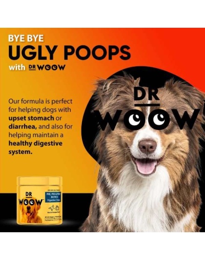 Dr Woow Digestion Soft Chews