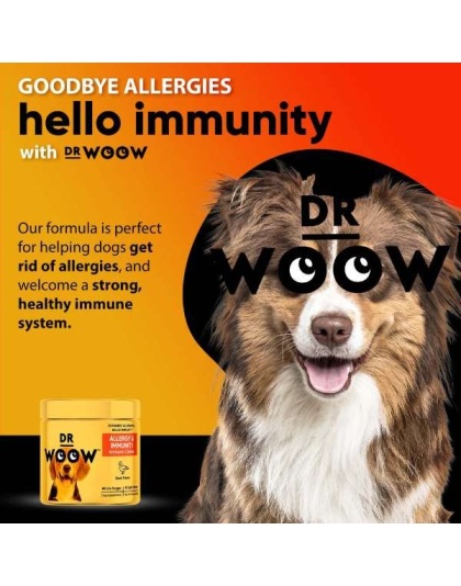 Dr Woow Allergy and Immunity Soft Chews