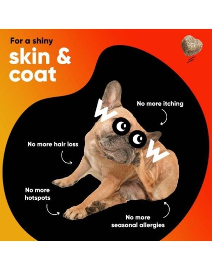 Dr Woow Skin and Coat Soft Chews