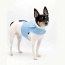 DCNY Periwinkle Harness Vest