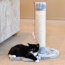 Real Wood Mouse Shape Cat Scratcher Toy, Kitty Sisal Post