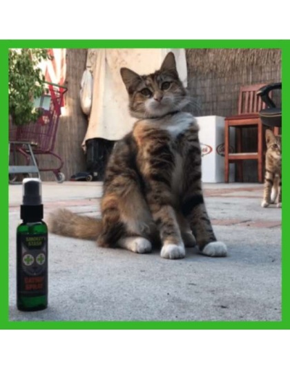 Smokey's Stash Catnip Spray Bottle - 2oz Bottle