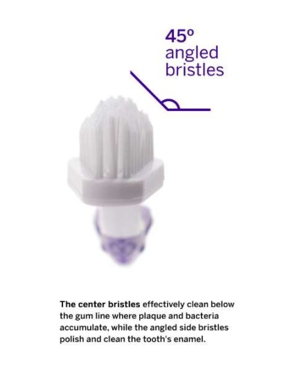 Professional Pet Toothbrush - Patented 45 Degree Dual-Ended Brush Head