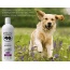 Lavender - BarkLogic Calming Shampoo