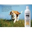 Tangerine - BarkLogic Sensitive Skin 2 in 1 Conditioning Shampoo