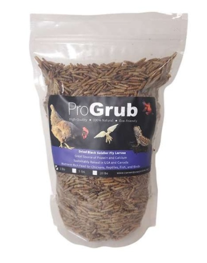 Dried Black Soldier Fly Larvae - 1lb