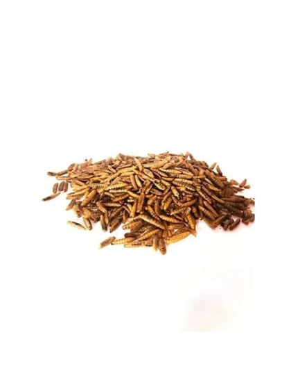 Dried Black Soldier Fly Larvae - 1lb