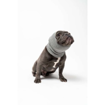 Grey - PET HOODZ DOG HOODIES FOR ANXIETY - Small