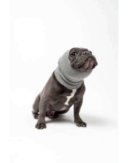 Grey - PET HOODZ DOG HOODIES FOR ANXIETY - Small