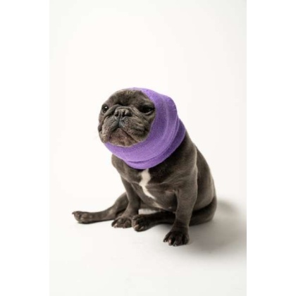 Lavender - PET HOODZ DOG HOODIES FOR ANXIETY - Large