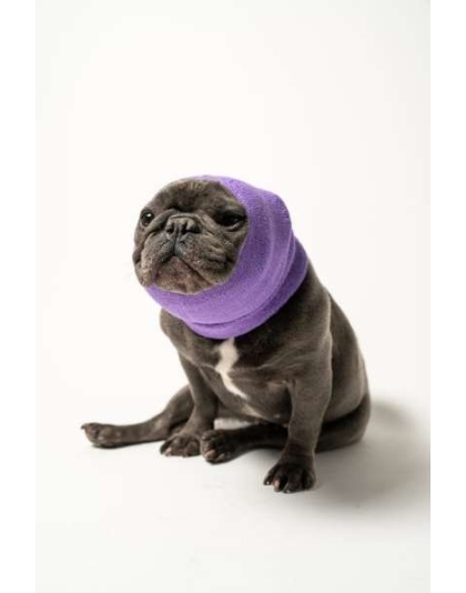 Lavender - PET HOODZ DOG HOODIES FOR ANXIETY - Medium