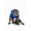 Blue - PET HOODZ DOG HOODIES FOR ANXIETY - Medium