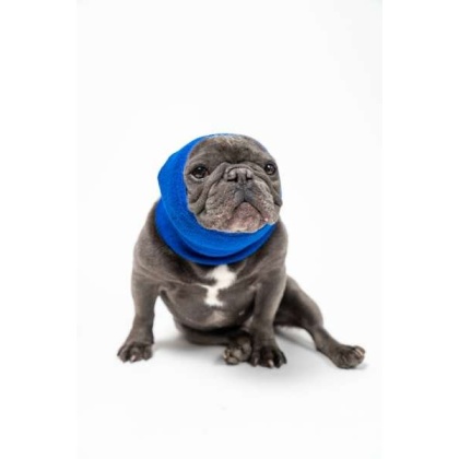 Blue - PET HOODZ DOG HOODIES FOR ANXIETY - Small