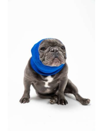 Blue - PET HOODZ DOG HOODIES FOR ANXIETY - Small