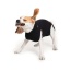 BLACK - Suitical Dog Recovery Suits - XXX Small