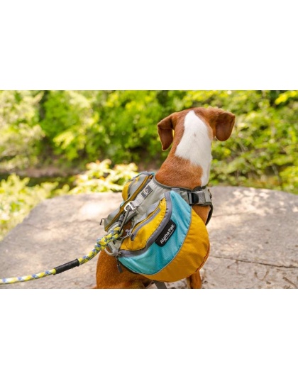 Adventurer Dog Pack (1-piece) - Medium