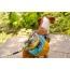 Adventurer Dog Pack (1-piece) - Medium