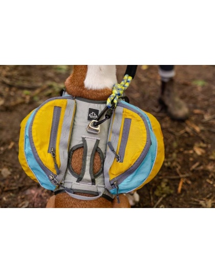 Adventurer Dog Pack (1-piece) - Medium