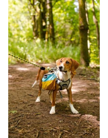 Adventurer Dog Pack (1-piece) - Medium