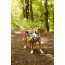 Adventurer Dog Pack (1-piece) - Medium