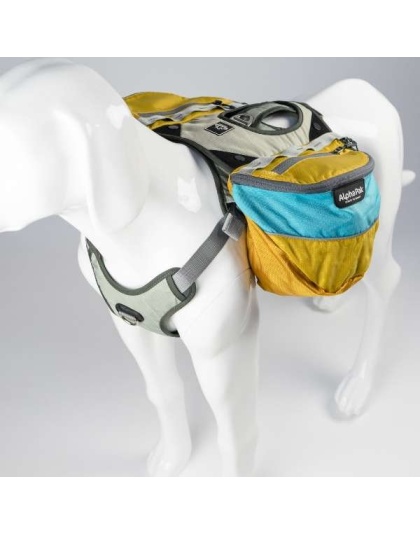 Adventurer EZ Latch Dog Pack (2-piece) - Small