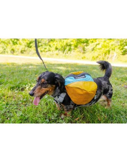 Adventurer EZ Latch Dog Pack (2-piece) - Small