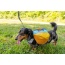 Adventurer EZ Latch Dog Pack (2-piece) - Small