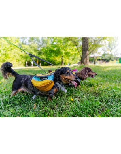 Adventurer EZ Latch Dog Pack (2-piece) - Small