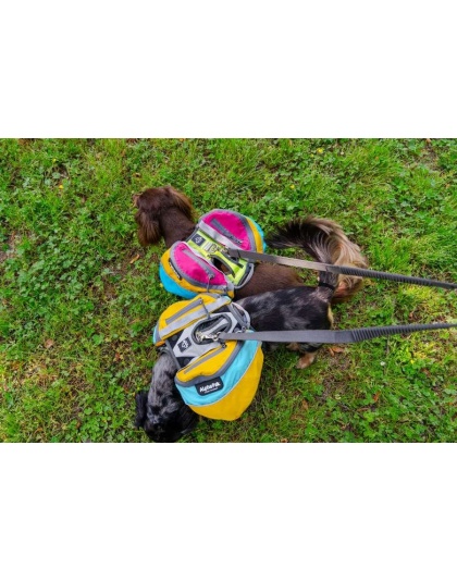 Adventurer EZ Latch Dog Pack (2-piece) - Extra Large