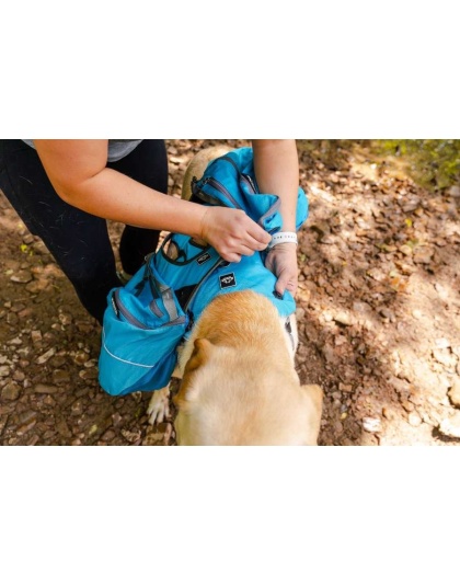 Pathfinder EZ Latch Dog Pack (2-piece) - Small