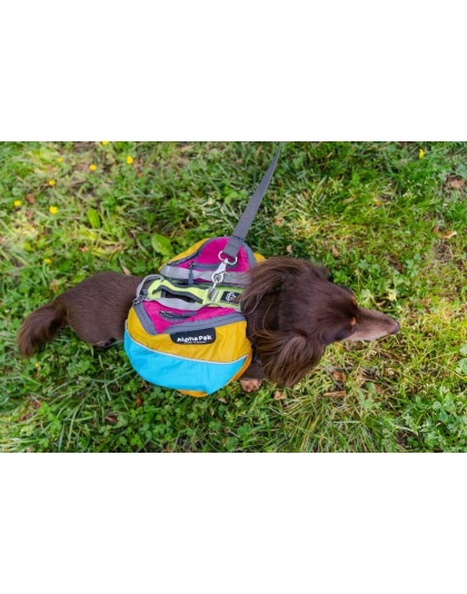 Wanderer Dog Pack (1-piece) - Medium