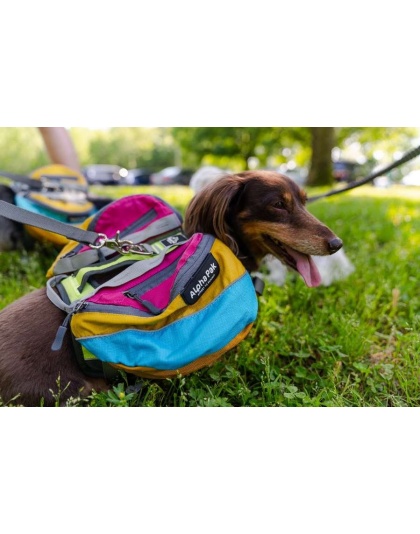 Wanderer Dog Pack (1-piece) - Small