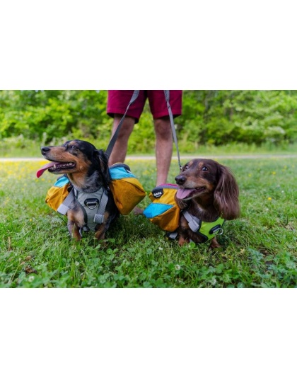 Wanderer Dog Pack (1-piece) - Small