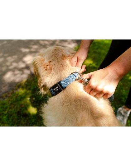 Tidal Pattern Dog Collar - Small 5/8in wide by 8