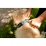 Tidal Pattern Dog Collar - Small 5/8in wide by 8